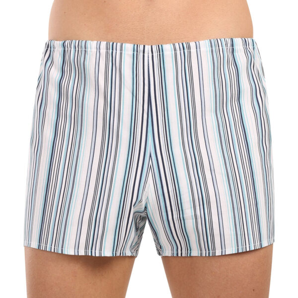 Klasické pánské trenky Foltýn světlé proužky extra nadrozměr (KN83) 9XL