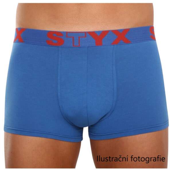 2. jakost pánské boxerky Styx Sport L