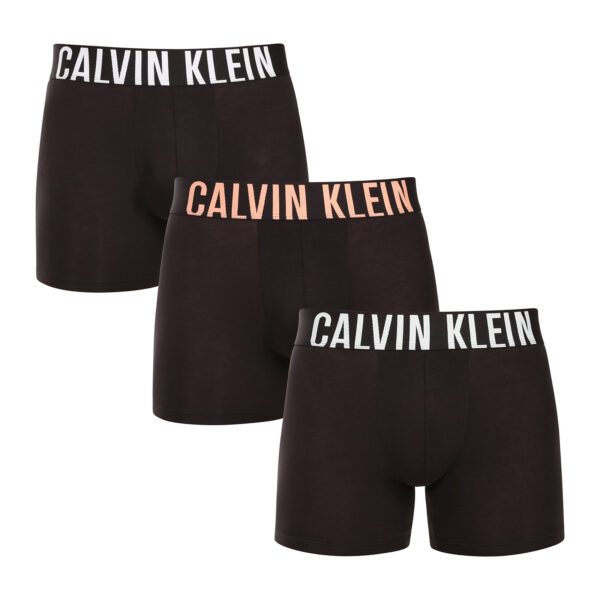 3PACK pánské boxerky Calvin Klein černé (NB3609A-VVN) XXL