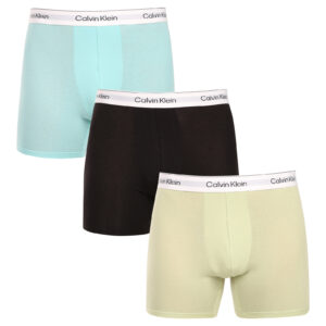 3PACK pánské boxerky Calvin Klein černé (NB4394-VQX) L