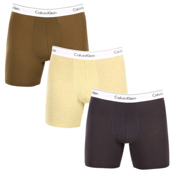 3PACK pánské boxerky Calvin Klein vícebarevné (NB2381A-GW2) M
