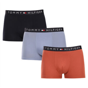 3PACK pánské boxerky Tommy Hilfiger vícebarevné (UM0UM03180 0T1) L