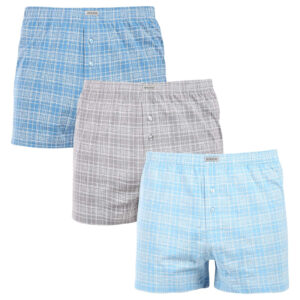 3PACK pánské trenky Andrie vícebarevné (PS 5886) XL