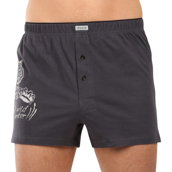 Pánské trenky Andrie vícebarevné (PS 5853-grey) M