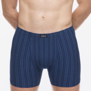 Pánské boxerky Gino vícebarevné (74183-DCMMBM) M