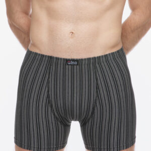 Pánské boxerky Gino vícebarevné (74183-MxCDxG) XL