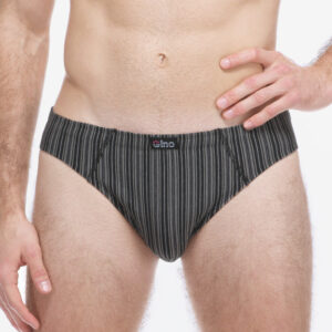 Pánské slipy Gino vícebarevné (70074-MxCDxG) M