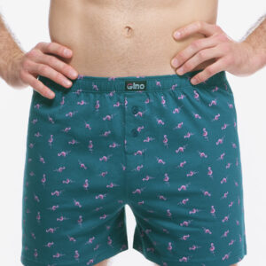 Pánské trenky Gino zelené (75217-DZMDFR) L