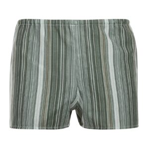 Pánské trenky Nedeto vícebarevné (1NTV5) S