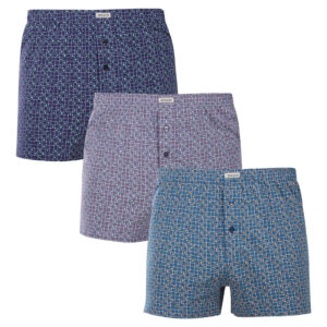 3PACK pánské trenky Andrie vícebarevné (PS 5895) 3XL