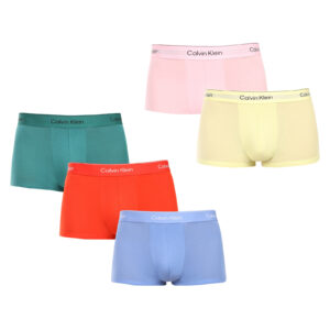 5PACK pánské boxerky Calvin Klein vícebarevné (NB4230-VST) M