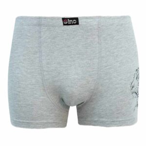 Pánské boxerky Gino šedé (73100) M