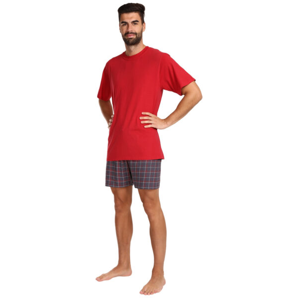 Pánské pyžamo Gino vícebarevné (79158) 3XL