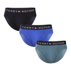 3PACK pánské slipy Tommy Hilfiger vícebarevné (UM0UM03701 05J) M