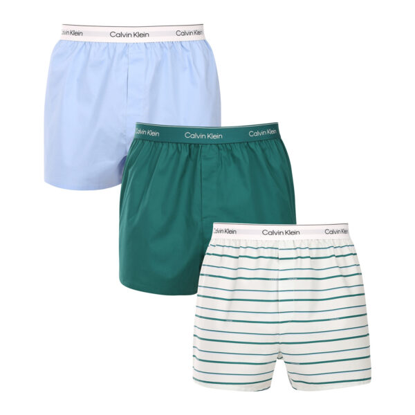 3PACK pánské trenky Calvin Klein vícebarevné (NB4267-0AC) 4XL