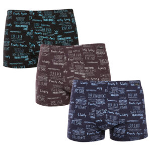 3PACK pánské boxerky Andrie vícebarevné (PS 5787) M