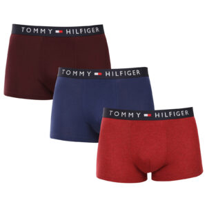 3PACK pánské boxerky Tommy Hilfiger vícebarevné (UM0UM03180 0VK) XXL