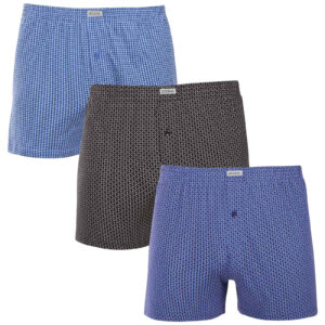 3PACK pánské trenky Andrie vícebarevné (PS 5927) XL