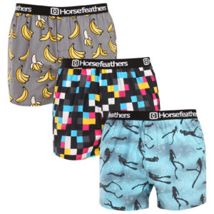 3PACK pánské trenky Horsefeathers Frazier Bundle 10 (AM096M) L