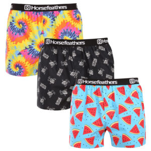 3PACK pánské trenky Horsefeathers Frazier Bundle 8 (AM096K) L