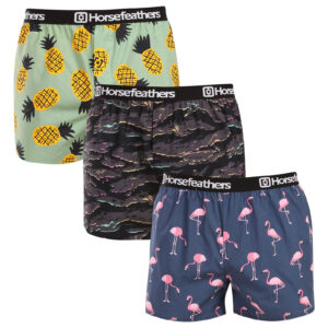3PACK pánské trenky Horsefeathers Frazier Bundle 9 (AM096L) L