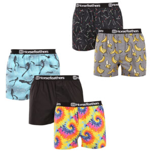 5PACK pánské trenky Horsefeathers Frazier Bundle 1 (AM287A) L