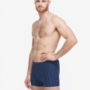 Pánské boxerky Gino vícebarevné (73138-DCMMBM) L