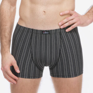 Pánské boxerky Gino vícebarevné (73138-MxCDxG) M