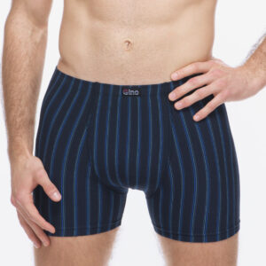 Pánské boxerky Gino vícebarevné (74178-DCMMBM) XXL