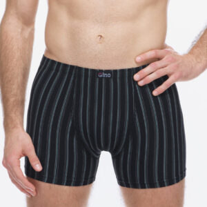 Pánské boxerky Gino vícebarevné (74178-MxCDMZ) XXL