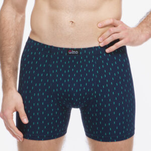 Pánské boxerky Gino vícebarevné (74181-DCMMMZ) L