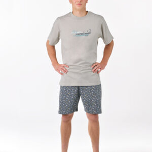 Pánské pyžamo Gino vícebarevné (79190-LxGDxG) S