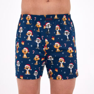 Pánské trenky Cornette Comfort vícebarevné (016/20) S