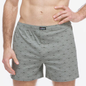 Pánské trenky Gino vícebarevné (75214-MxGDxG) XL