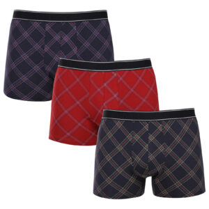 3PACK pánské boxerky Andrie vícebarevné (PS 5712) XL