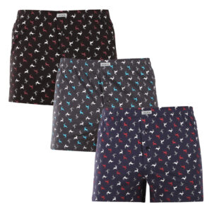 3PACK pánské trenky Andrie vícebarevné (PS 5837) 3XL