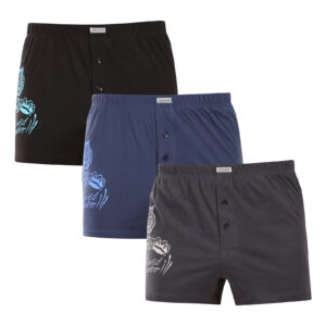 3PACK pánské trenky Andrie vícebarevné (PS 5853) XL