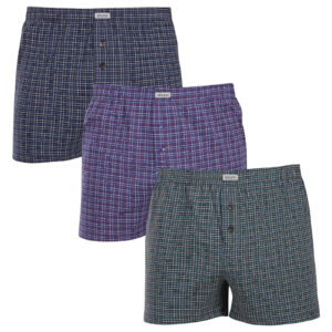 3PACK pánské trenky Andrie vícebarevné (PS 5863B) L