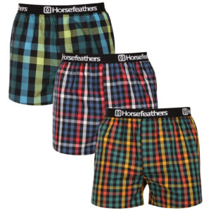 3PACK pánské trenky Horsefeathers Clay Bundle 3 (AM283C) L