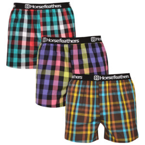 3PACK pánské trenky Horsefeathers Clay Bundle 4 (AM283D) L