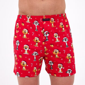 Pánské trenky Cornette Comfort vícebarevné (016/21) S