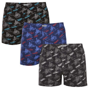 3PACK pánské trenky Andrie vícebarevné (PS 5844) L