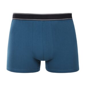 Pánské boxerky Andrie vícebarevné (PS 5828/green) L