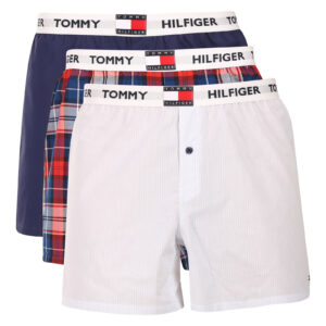 3PACK pánské trenky Tommy Hilfiger vícebarevné (UM0UM03849 0TJ) L