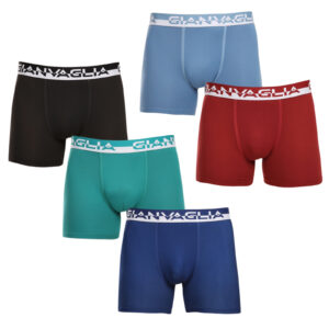 5PACK pánské boxerky Gianvaglia vícebarevné (GVG-5011) L