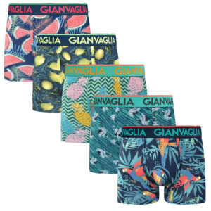 5PACK pánské boxerky Gianvaglia vícebarevné (GVG-5072) M
