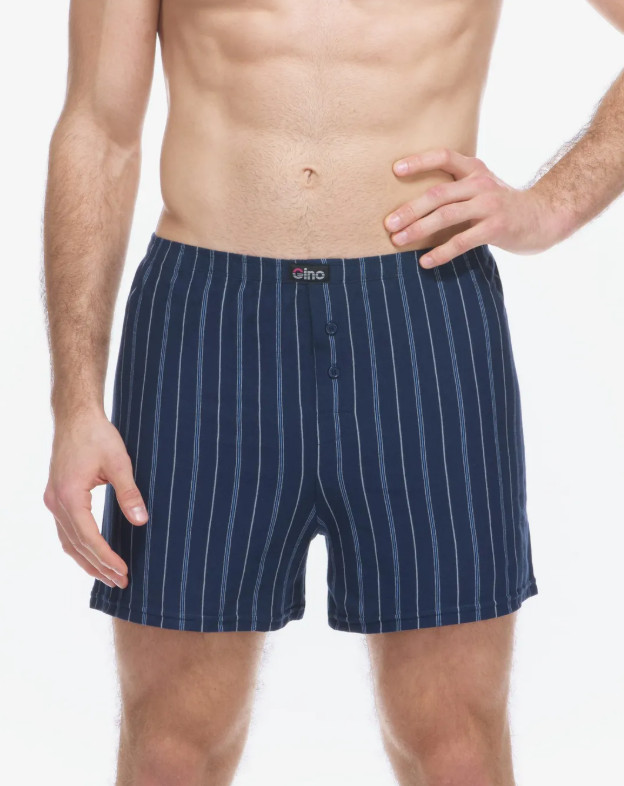 Pánské trenky Gino vícebarevné (75209-DCMDBM) XL