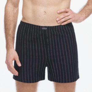 Pánské trenky Gino vícebarevné (75209-MxCDER) L