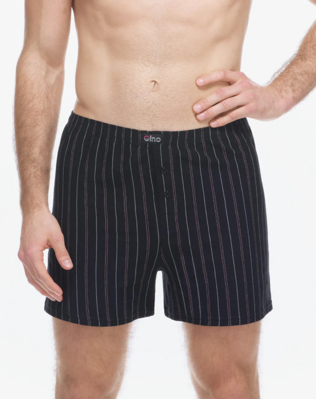 Pánské trenky Gino vícebarevné (75209-MxCDER) L