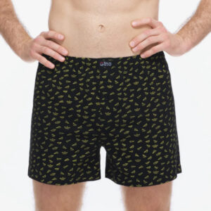 Pánské trenky Gino vícebarevné (75215-MxCDZM) XL